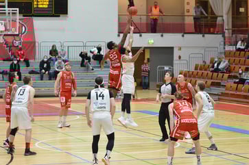 DINO_Blog_Bisons_Dinolift_Loimaa